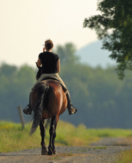 Une femme sur un cheval