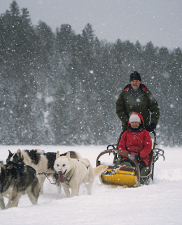 Une femme en traîneaux à chiens