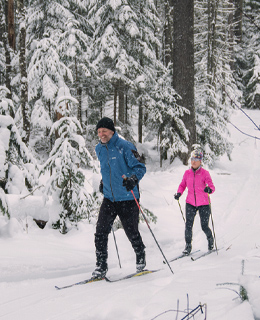 Deux personnes faisant du ski de fond