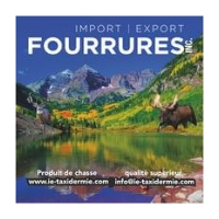 Logo Import-Export Fourrures